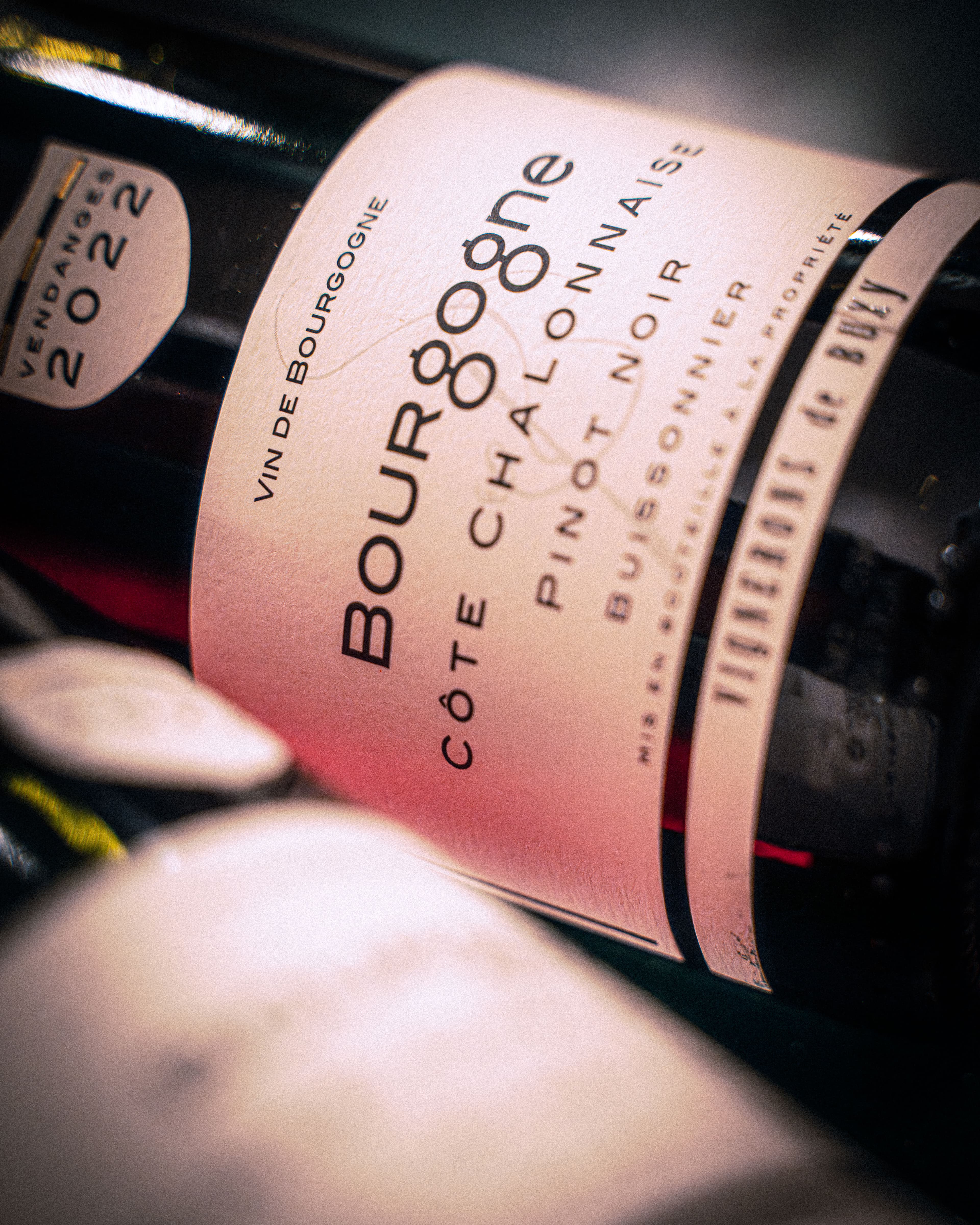 Bouteille de pinot noir tenue à la main